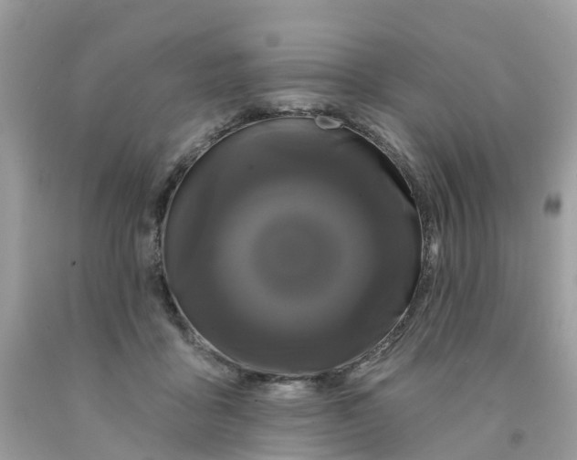 X0000091090411200709041306