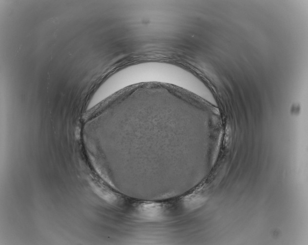 X0000091090413200709041306