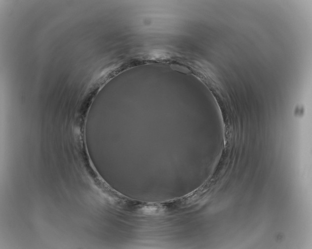 X0000091090415200709041306
