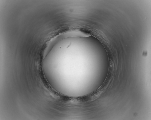 X0000091090416200709041306