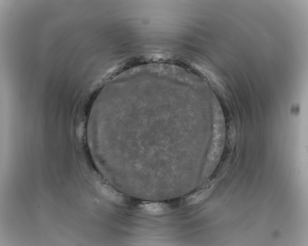 X0000091090417200709041306