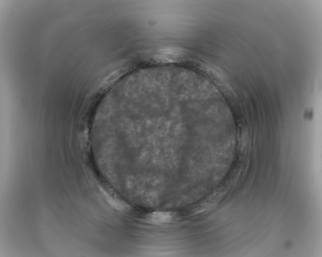 X0000091090418200709041306