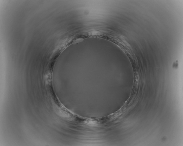 X0000091090419200709041306