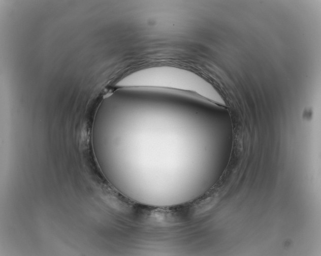 X0000091090420200709041306