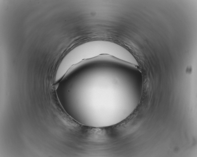 X0000091090421200709041306
