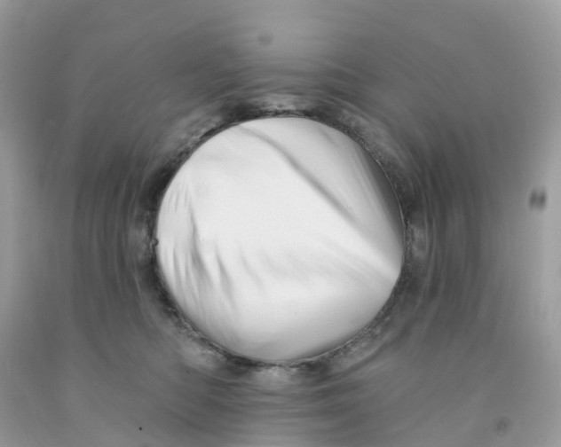 X0000091090422200709041306