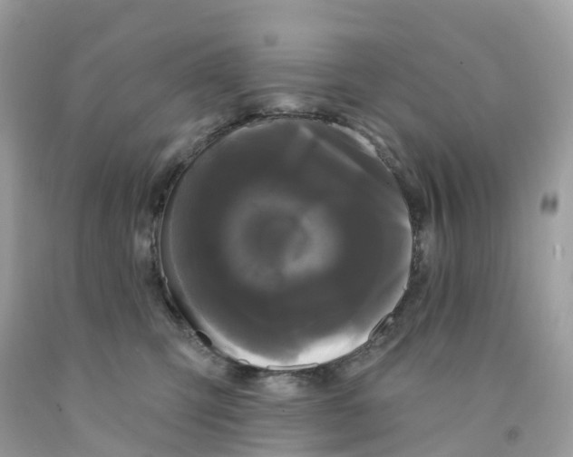 X0000091090423200709041306