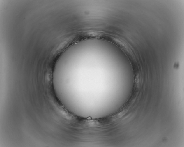 X0000091090424200709041306