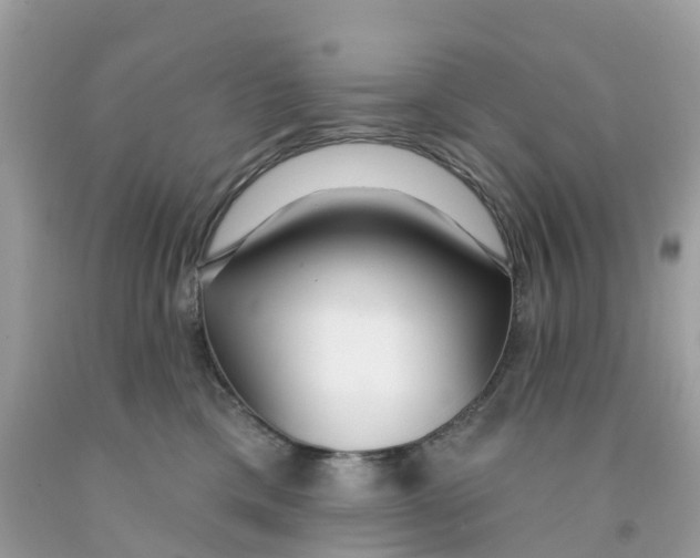 X0000091090425200709041306