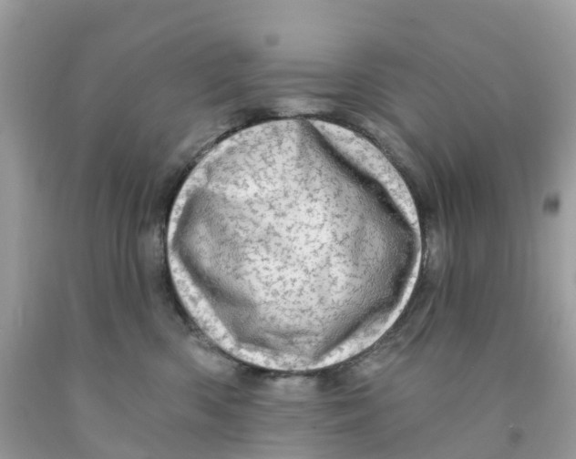 X0000091090426200709041306