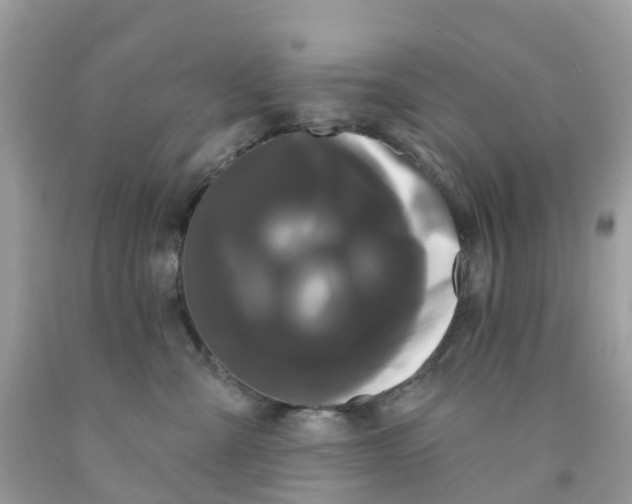 X0000091090427200709041306