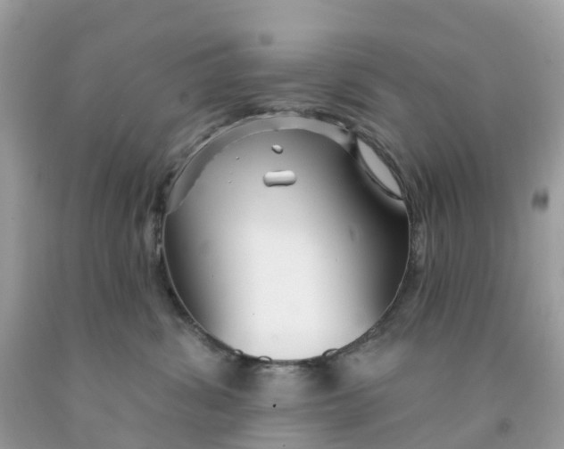 X0000091090428200709041306