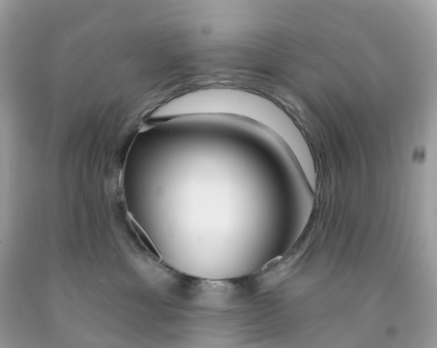 X0000091090429200709041306