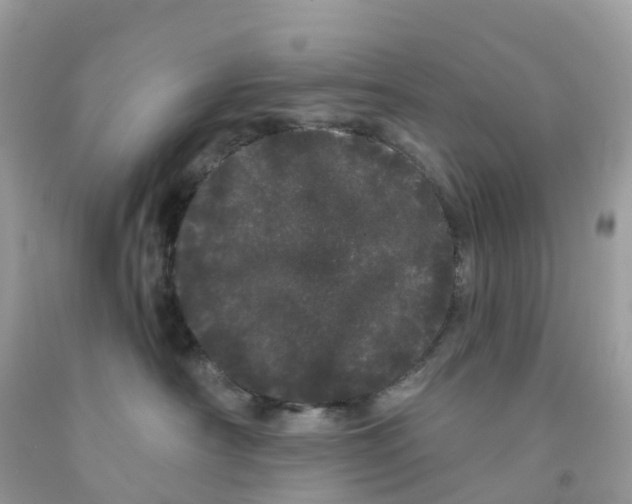 X0000091090430200709041306