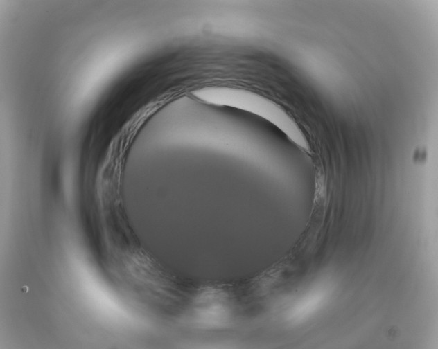X0000091090431200709041306