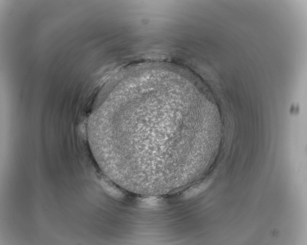 X0000091090432200709041306