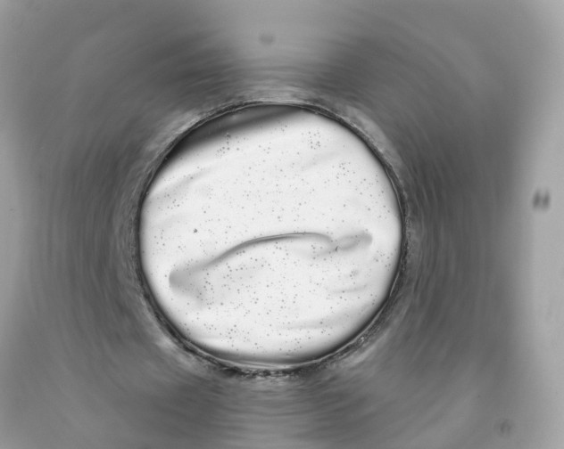 X0000091090433200709041305
