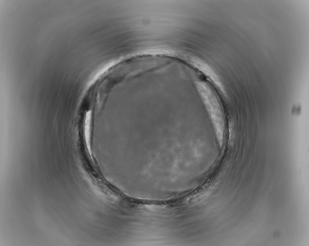 X0000091090436200709041305