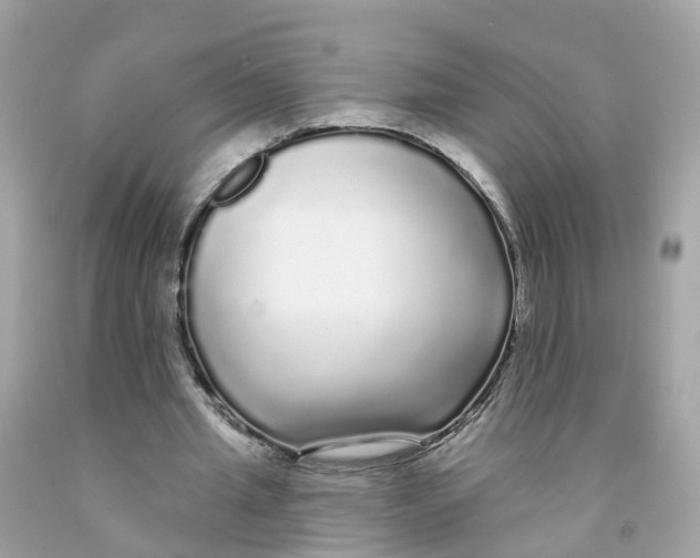 X0000091090437200709041305
