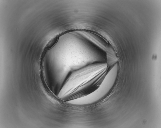 X0000091090438200709041305