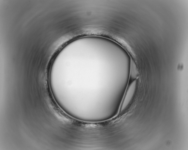 X0000091090439200709041305