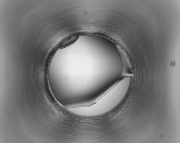 X0000091090440200709041305