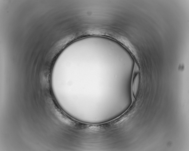 X0000091090441200709041306