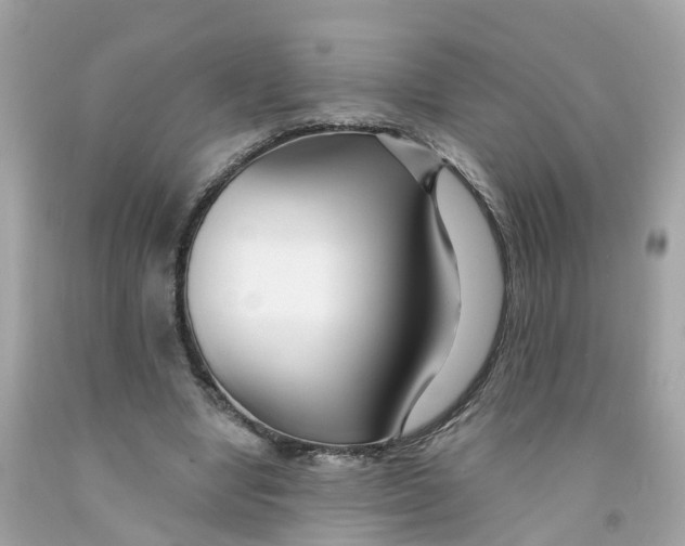 X0000091090442200709041306