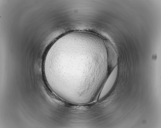X0000091090443200709041306