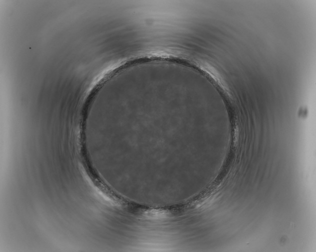 X0000091090444200709041306