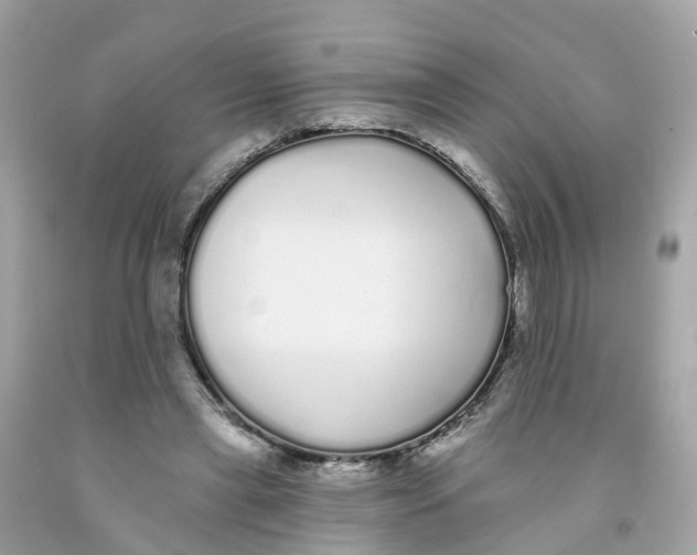 X0000091090445200709041306