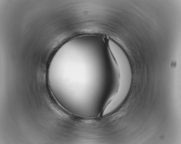 X0000091090446200709041306