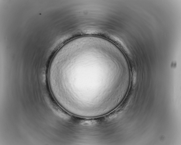 X0000091090447200709041306