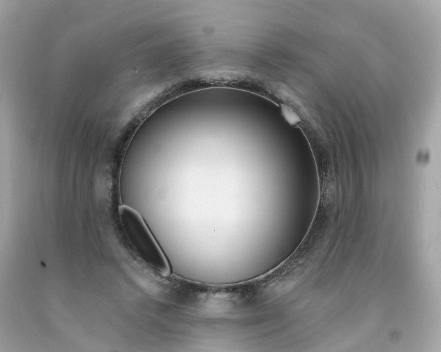 X0000091090448200709041306
