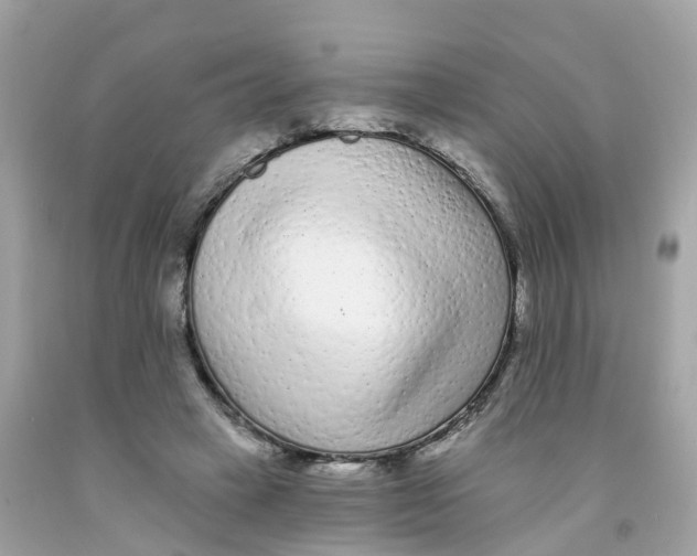 X0000091090449200709041306
