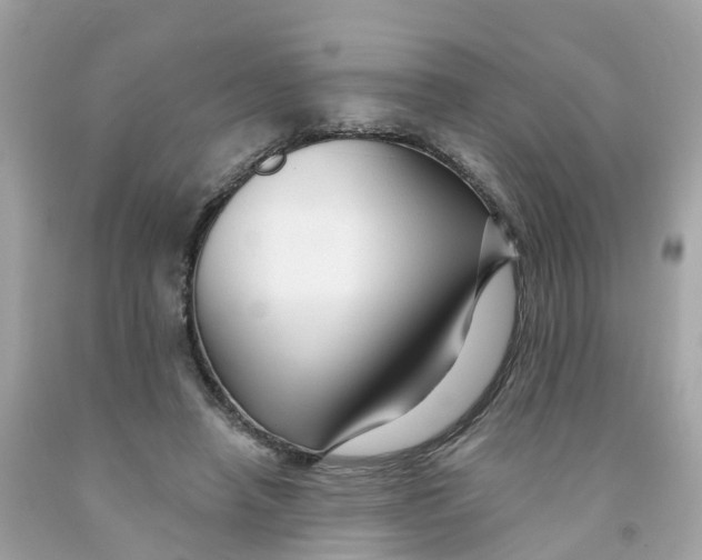 X0000091090450200709041306