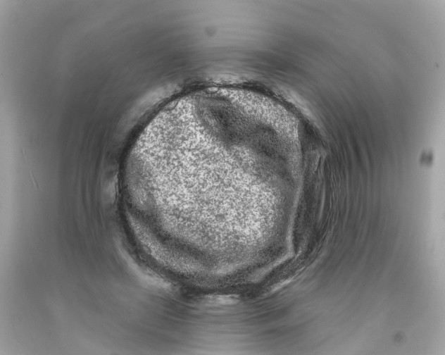 X0000091090451200709041306