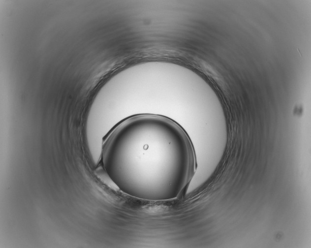X0000091090452200709041306