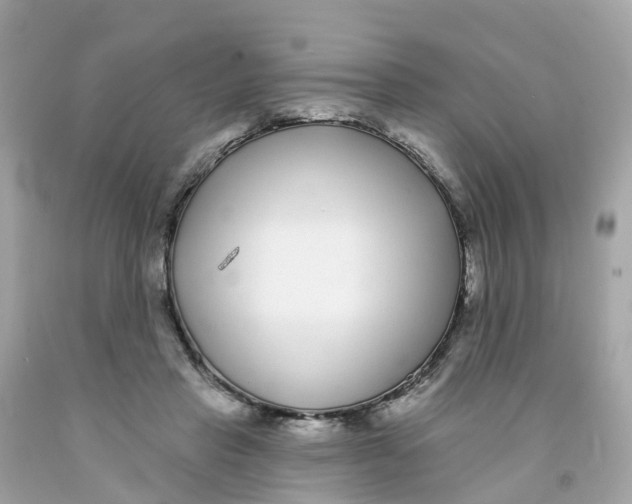 X0000091090453200709041306
