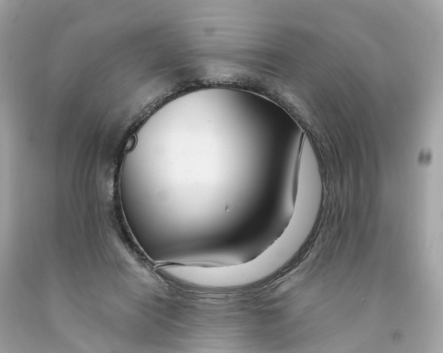 X0000091090454200709041306