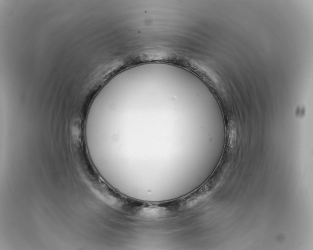 X0000091090455200709041306