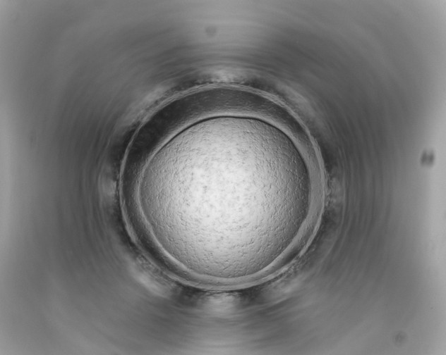 X0000091090456200709041306