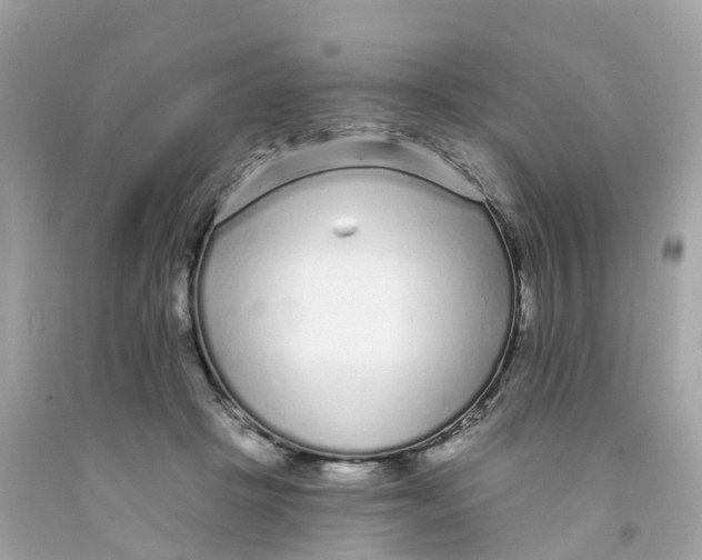 X0000091090457200709041306