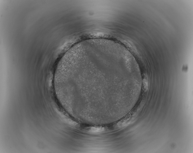 X0000091090458200709041306
