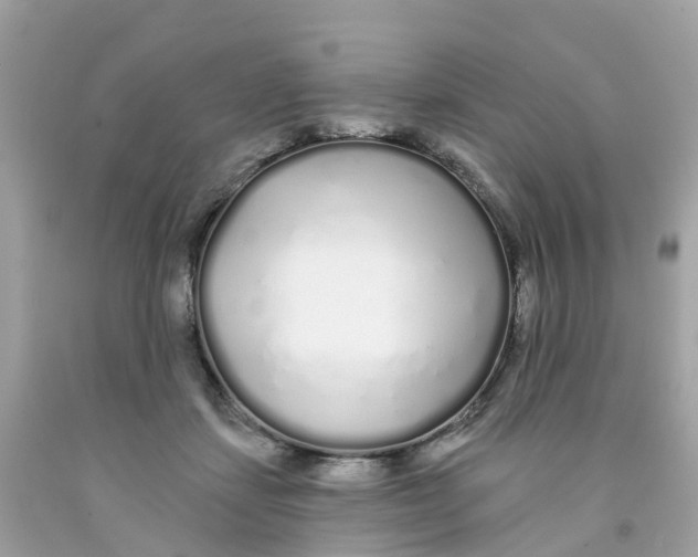 X0000091090459200709041306