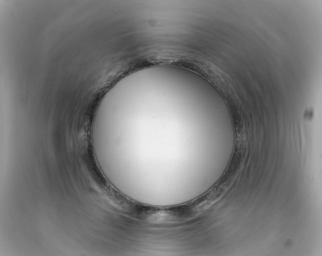 X0000091090460200709041306