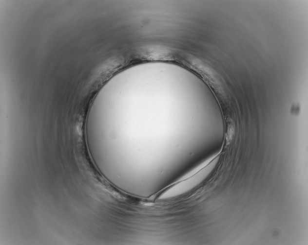X0000091090461200709041306