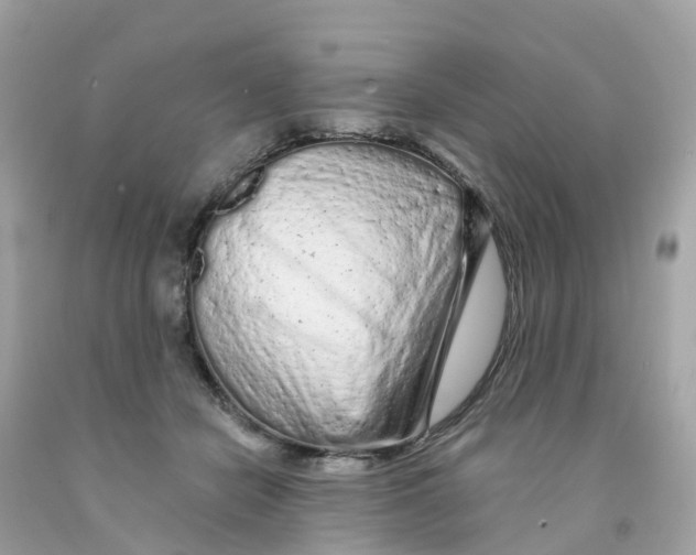 X0000091090462200709041306