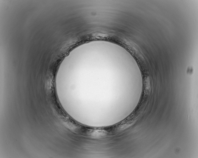 X0000091090463200709041306