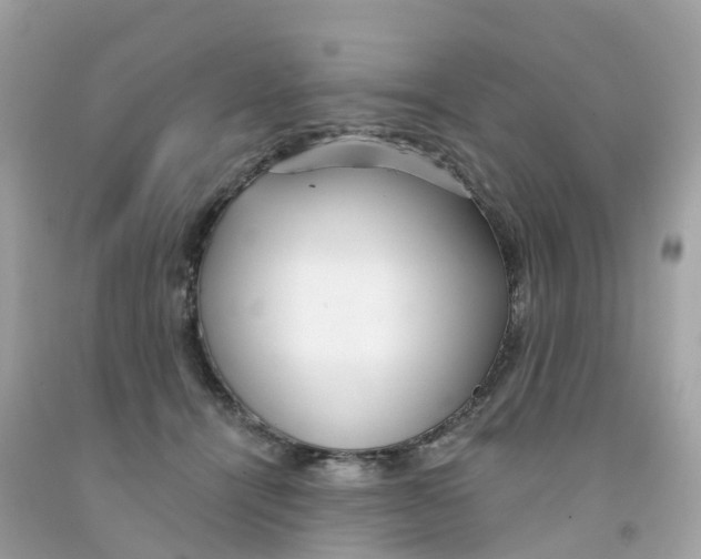 X0000091090464200709041306
